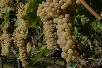 _GEC6942 (1024x685).jpg